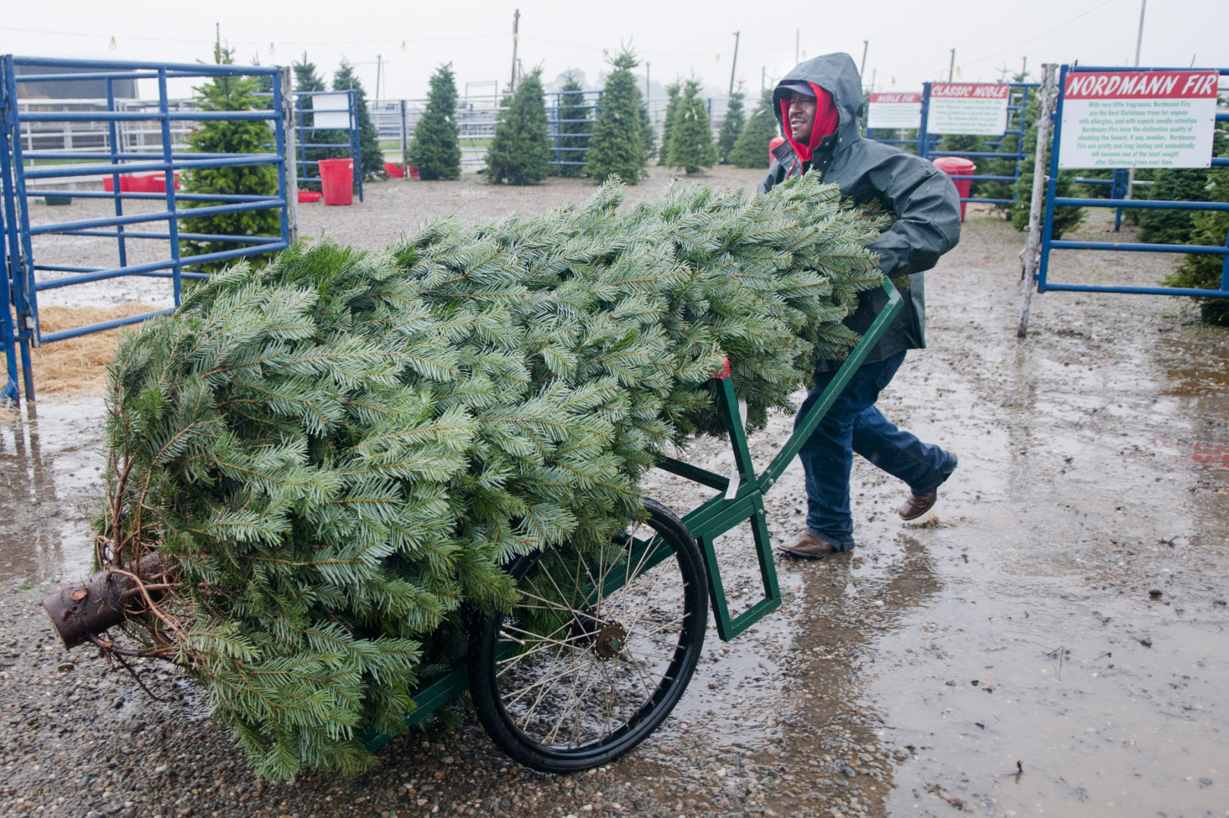 Rosser Christmas Corral